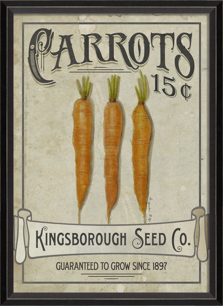 carrot seed package